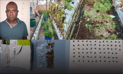 Culture du cannabis : Un policier arrêté