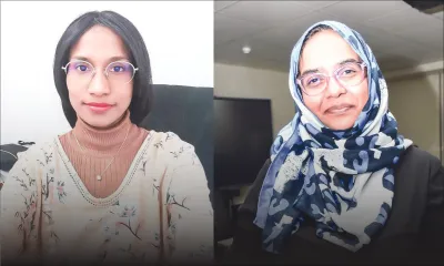 Dengue : Prolifération importante de moustiques dans la région de Port-Louis