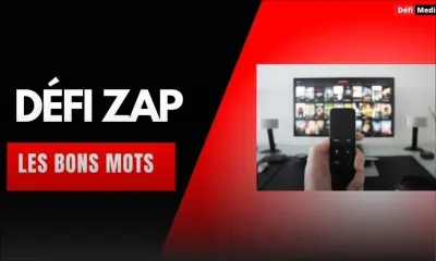 Le Défi Zap : les bons mots....