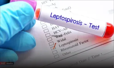 Plan de combat contre la leptospirose 