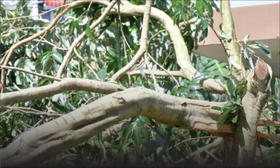 Sept interventions des sapeurs-pompiers depuis ce matin