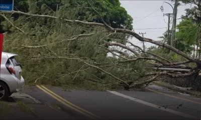 Alerte IV maintenue : ne sortez-pas !  