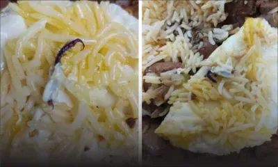 Il découvre un «cent-pieds» dans son plat commandé à emporter