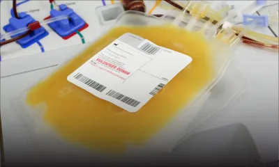 Hausse de cas de dengue : un manque de plaquettes de sang décrié 