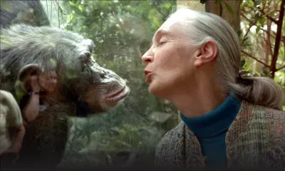 La célèbre primatologue Jane Goodall est morte