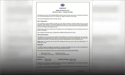 Enregistrement des chiens : l’obligation entre en vigueur aujourd’hui