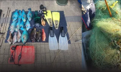 Pêche illégale : joli coup de filet 