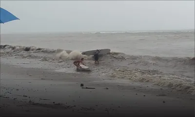 Avis de vents forts : voici les précautions à prendre