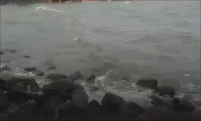 Cyclone Freddy : en ce moment à Poudre-D’Or