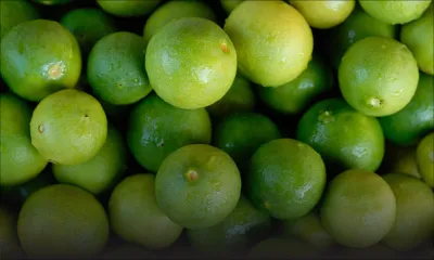 Coromandel : il vole 100 limons dans la cour d’un policier