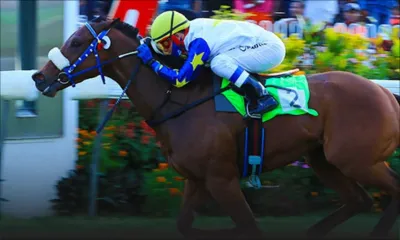 Hippisme : la MTCSL maintient son enquête sur El Patron