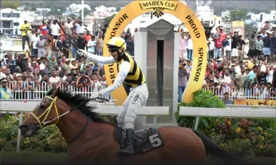 Hippisme – Good Council, brillant vainqueur de la Phoenix Maiden Cup