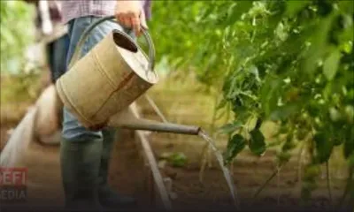 Chambre d’Agriculture de Maurice : 40 participants formés aux techniques de base de l’agriculture