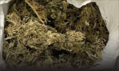 Rapport de la National Human Rights Commission : la création d’une Drug Court réclamée 