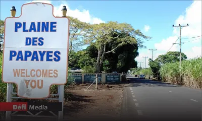 Vol avec violence à Plaine-des-Papayes : un couple de retraités attaqué à son domicile