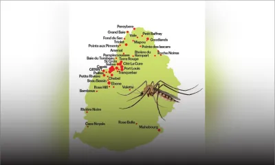Dengue : le nombre de cas recensés chaque jour alarmant 