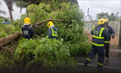 Tempête Eleanor : NEOC demande à la population de ne pas s'aventurer dans l'île avant que le bulletin de sécurité ne soit levé