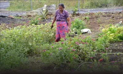 Pluies torrentielles : 118 mm enregistrés à Queen Victoria