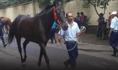 Hippisme : La MTCSL interdit à ses employés de travailler pour la journée inaugurale du 5 juin