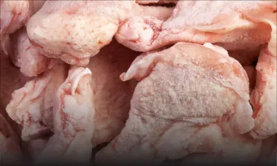 Importation de poulet surgelé : deux demandes reçues selon le ministre de l’Agro-Industrie 