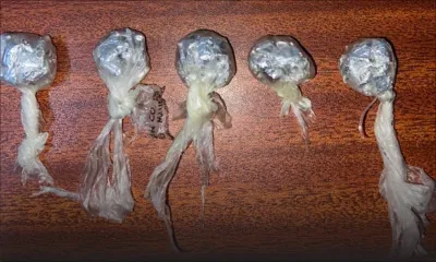 Vingt colis de drogue synthétique saisis à Cité Malherbes