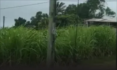 Cyclone Freddy : des fils électriques n’ont pas résisté aux rafales comme ici à Grand-Bois 
