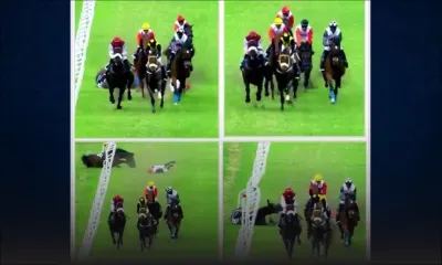Hippisme - Incident : Chute du jockey Batchameeah sur Walala Wasala 