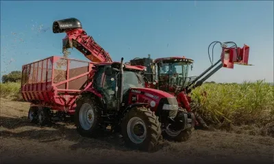 Coup d’envoi de la récolte de canne à sucre pour 2024 ce mercredi