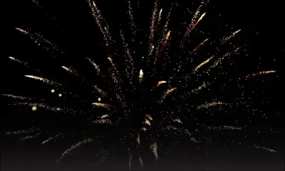 Cinq morts en Allemagne à la suite de feux d'artifice