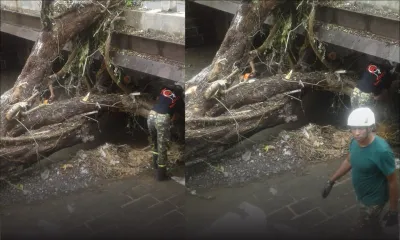 Chute d’un arbre au Ruisseau du Pouce : des soldats de la SMF en action