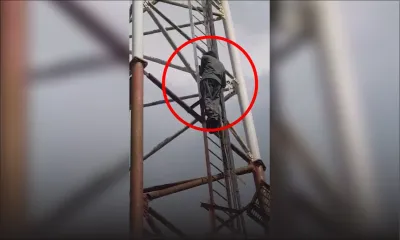 Grand-Bois : un homme grimpe sur une antenne-relais et menace de se jeter dans le vide