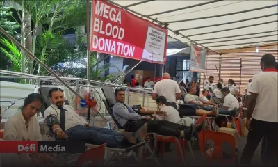 Mega Blood Donation 2023 : l’objectif est de recueillir plus de 1 500 pintes de sang