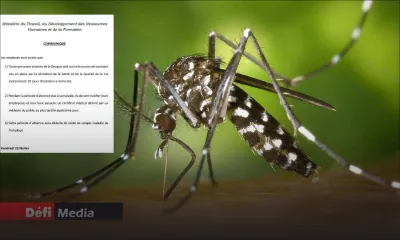 Dengue : dix jours d'isolation à domicile pour toute personne atteinte de la maladie 
