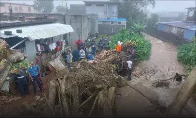 Montée des eaux à Bois-Chéri : des policiers et des pompiers à l’œuvre pour débarrasser un arbre tombé dans une rivière