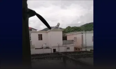 Tranquebar : deux singes sèment la panique