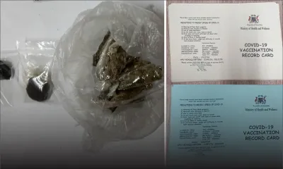 Curepipe : cartes vaccinales et drogues saisies chez un dealer