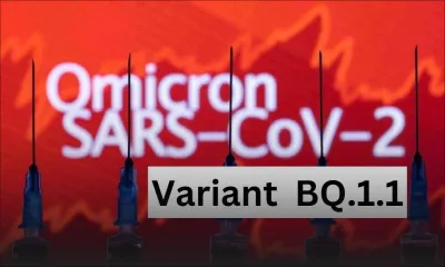 Covid-19-omicron : le nouveau variant BQ.1.1 inquiète