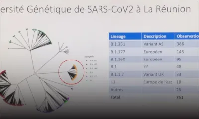 Covid-19 /variant réunionnais : 70 cas confirmés, le variant pas inscrit dans la liste des variants préoccupants