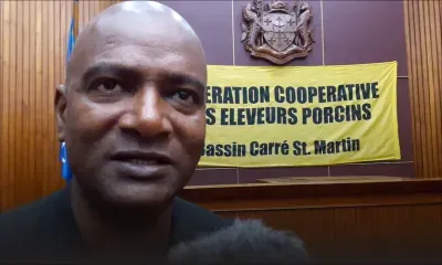 Les éleveurs porcins déplorent le «laxisme» des autorités 