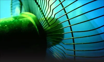 Beau-Bassin : un ventilateur explose, vent de panique chez la famille Gopee