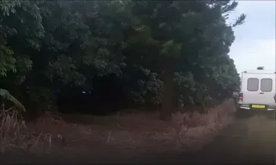 Le corps d'une femme découvert dans un verger du Sud