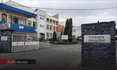 Transplantation rénale : une reprise suspendue faute de chirurgiens et d’équipe pluridisciplinaire