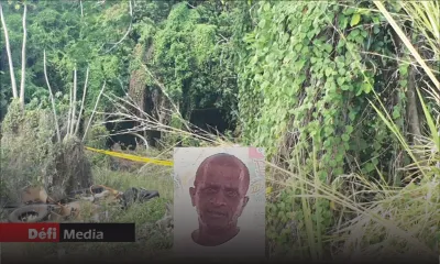 Vigile percuté par un camion poubelle à Plaine-Magnien : le chauffeur arrêté