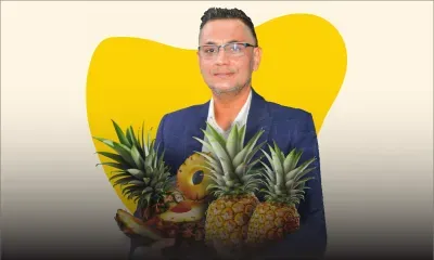 [Satiriquement vôtre] Des révélations  «ananassées»