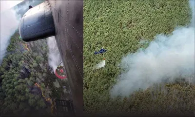 Allemagne : 700 personnes évacuées à cause d'un incendie de forêt près de Berlin