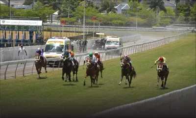 Hippisme : La MTCSL tient sa licence d’organisateur