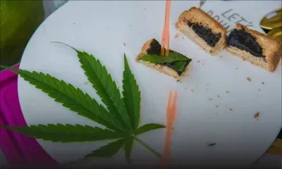 Thaïlande : Le commerce du cannabis légalisé mais l'usage récréatif toujours interdit