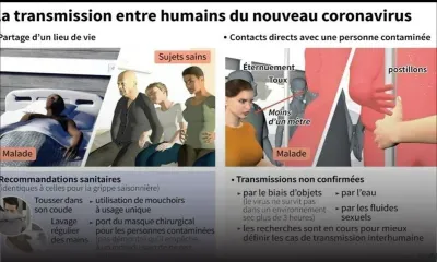  Coronavirus : ce qu'on sait et ce qu'on ignore encore sur l'épidémie
