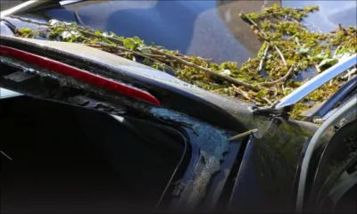 Wooton : des projectiles lancés sur des véhicules 