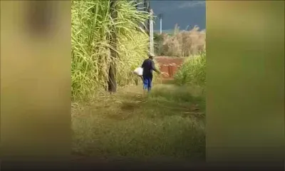 A Pamplemousses : un malfrat, armé d’un couteau, tente d’intimider deux hommes